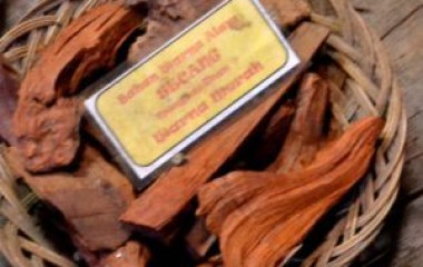 PEWARNA ALAMI PADA BATIK
